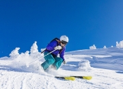 开云官网-南粤风暴席卷丹佛，拉梅洛·鲍尔以唯一方式宣告新时代