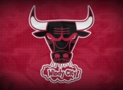 开云官网-许昕点燃赛场，韩国队险胜奥地利队，一场技术与意志的较量