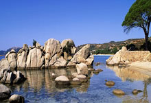 开云棋牌游戏-重庆力帆掉入降级区，紧急寻求突破的简单介绍