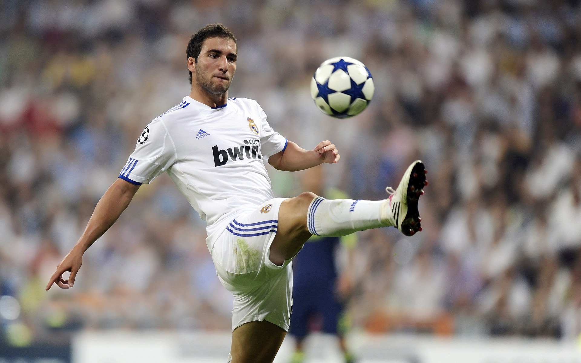 赛道上的逆转风暴，哈斯车队如何颠覆法拉利王朝，诺里斯惊艳四座